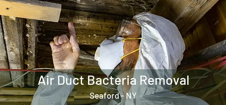  Air Duct Bacteria Removal Seaford - NY