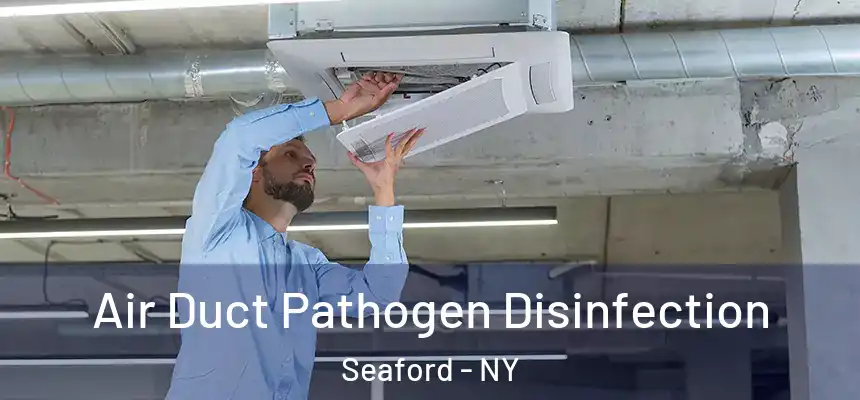  Air Duct Pathogen Disinfection Seaford - NY