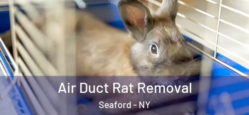  Air Duct Rat Removal Seaford - NY