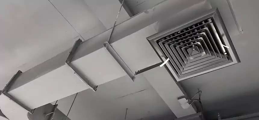 Restorative Allergy Relief Vent Cleaning – Coil, Blower & Housing Detail in Seaford