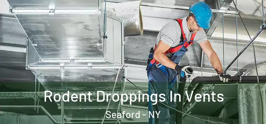  Rodent Droppings In Vents Seaford - NY