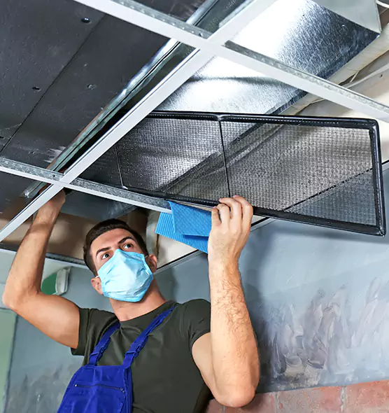 About Air Duct Bacteria Removal in Seaford