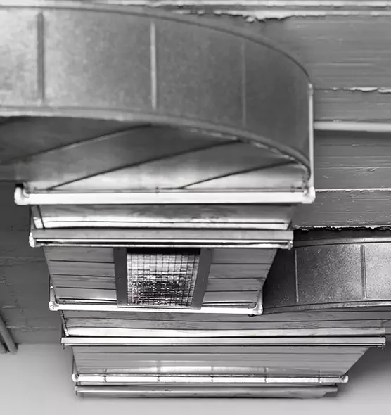 Professional Air Duct Pest Removal in Seaford, NY