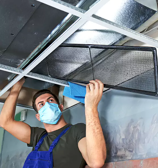 Professional Air Duct Pollen Cleaning in Seaford, NY